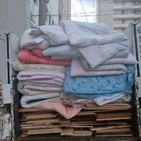 画像252