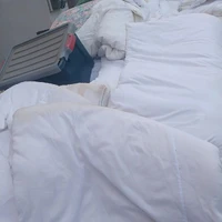 画像253
