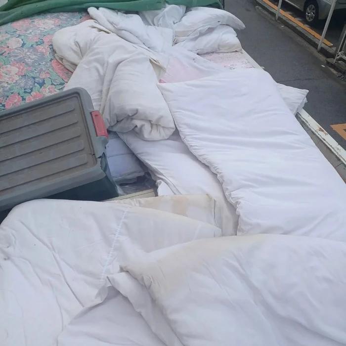 画像254